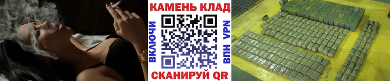 купить наркотик  Власиха  Гашиш индика сатива 