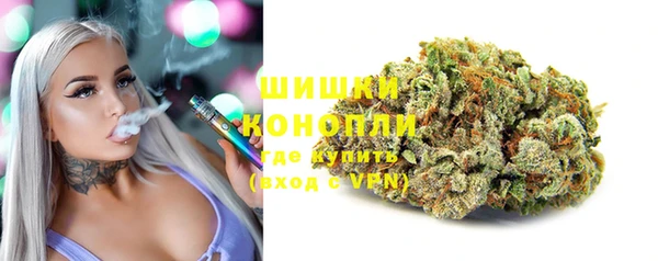 мяу мяу мука Беломорск